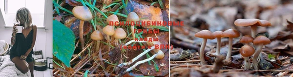 МДМА Мегион