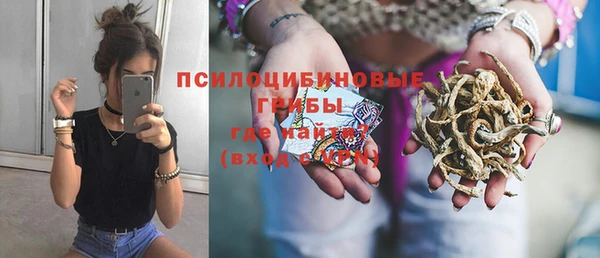 прущие крисы Медвежьегорск