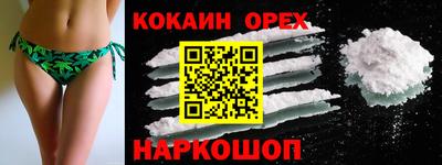 гашик Кандалакша