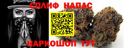 гашик Кандалакша