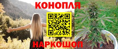 альфа пвп Камышлов