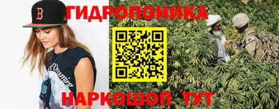 гашик Кандалакша