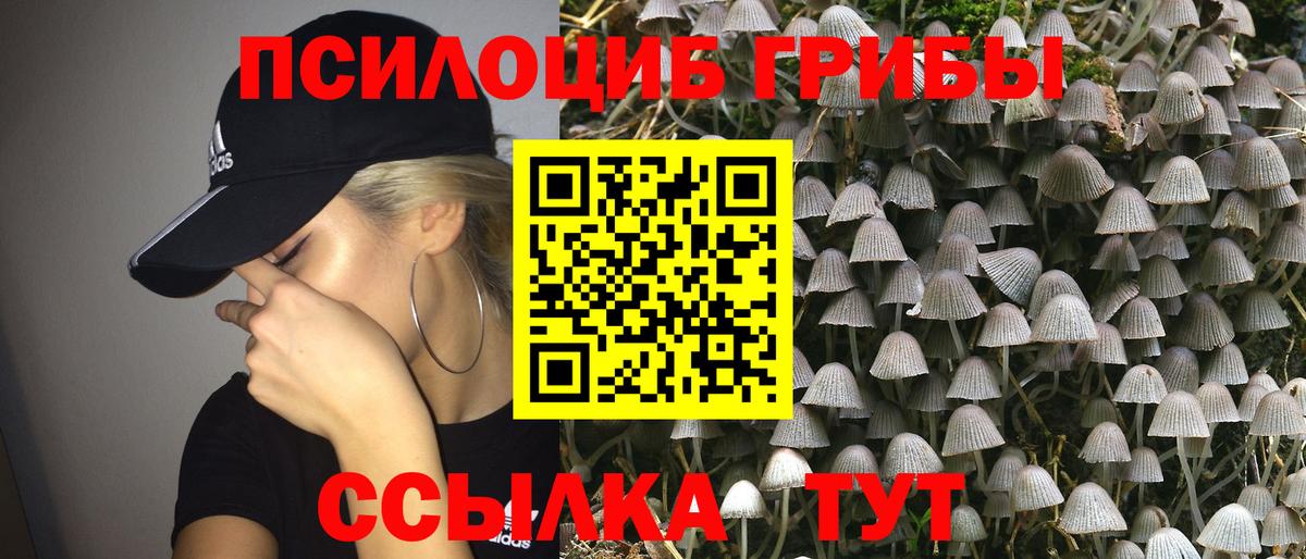 Псилоцибиновые грибы MAGIC MUSHROOMS Фролово